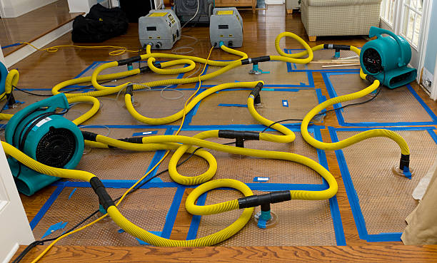 Professional Water Damage Repair technician working in Silver Lake, OH